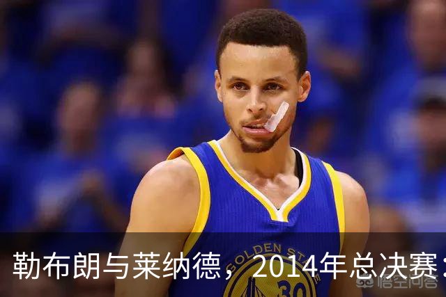 勒布朗与莱纳德，2014年总决赛：谁爆了谁？